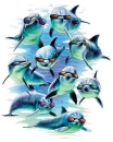 delfines cool :D