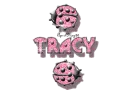 pink traveling ladybugs tracy