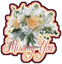 Missing You