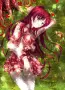 anime girl dreaming