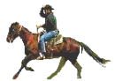 horse and rider