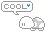 cool turtle