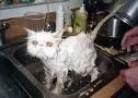 i got a bit wet