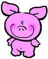 cute lil pig
