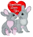 somebunny loves you