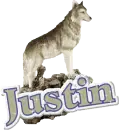 Justin Wolf