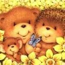 Cute Bears