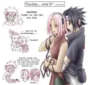 sasu saku
