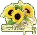 Have a beautiful day