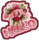 Hello