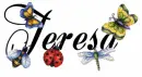bugs teresa