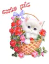 cute pics