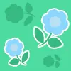 blu flowers