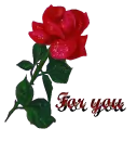 flower,for you