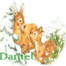 two deer