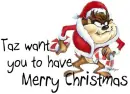 Taz - Merry Christmas
