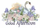 Good Afternoon