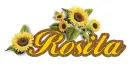 Rosita sunflowers