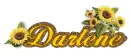 Darlene sunflowers