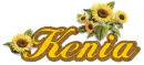 Kenia sunflowers
