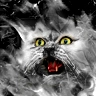 mad cat