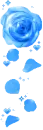 Blue Rose