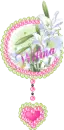Wilma
