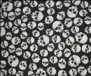 Skull Background