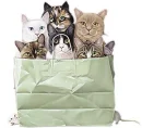paper bag
