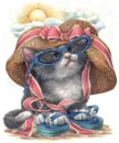 funny kitty