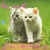 heart friends