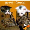 good time