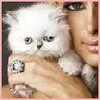 kitty