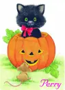 Perry-Cat-Pumpkin