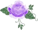 Purple Rose