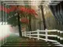 Autumn Scene
