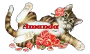 AMANDA