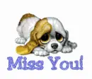 Miss You