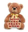 i miss you beary much