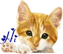 Hi