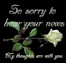 Sorry for your loss