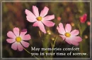may memories comfort you in your time of sorrow