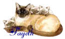 Fayeth