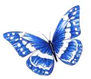 Buttrfly