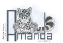 Lil Snow Amanda