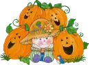 Pumpkin Season