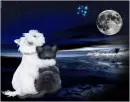 Starlight