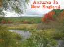 Autumn in New England