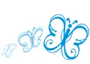 blue butterflies