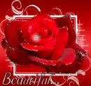 Beautiful